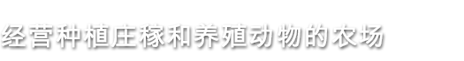 澳洲梦想镇/Dinkum(v0.4.3) 37 Farm SCH